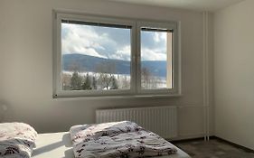 Apartman Pod Smrkem